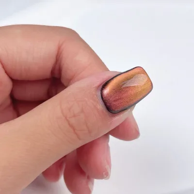Wholesale High Quality Cat Eye Professionnel Kit  Cat Eye Gel Nail Gel Polish Set Uv Gel