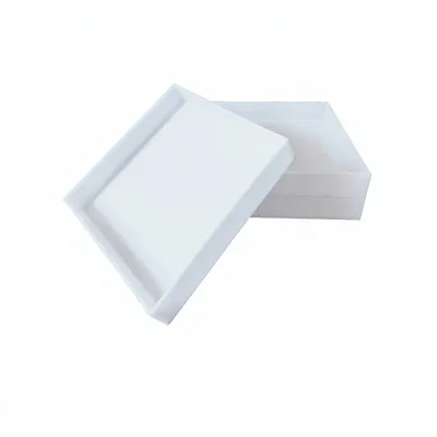 Laboratory Polypropylene Reagent Trays Corrosion-Resistant Strong Acid-Alkali Resistant Leak-Proof Model Bio-CD4833 Sizes 20x20