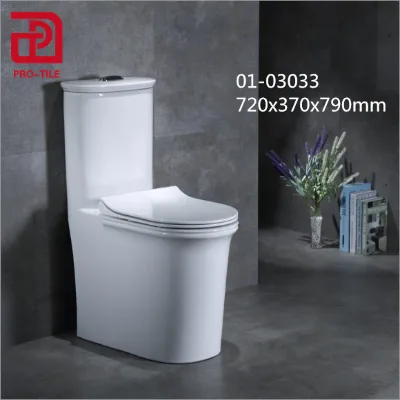 Toilet Ceramic Sanitary Wares One Piece Toilet