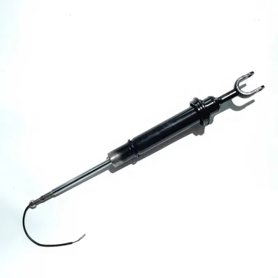 Hot Sell Shock Absorber Suspension Front Oeno 3d0616039 3d0616040 for vw Phaeton bentley