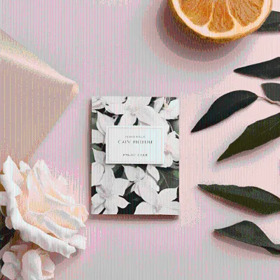 Home Air Freshener Bloom Luxury Fragrance Card