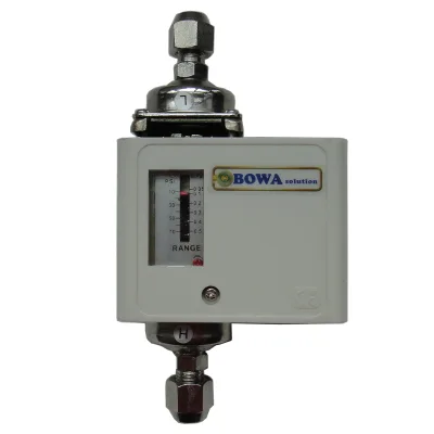 1~5bar Adjustable Differential Pressure Switch Gives On/off Output for Pump or Bypass Solenoid/motorized Valve in Hydronic Loops