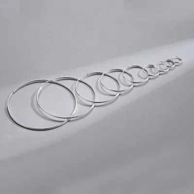 GP Hoop Earrings 925 Sterling Silver Round Fashion Jewelry Large Hoop Earrings Different Sizes for Women Ear Ring Wholesale