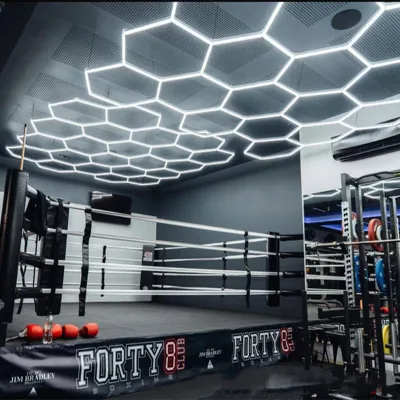High Quality Portable Hexagonal Diy Honeycomb Led Ceiling Light Rgb Party Lights for Workshop Bedroom Lamp