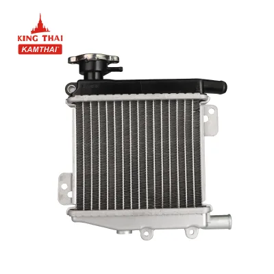 High Performance Aftermarket Nouvo LX Motorcycle Universal Alloy Radiator Tank Heat Sink Radiator Fan for Motorcycle