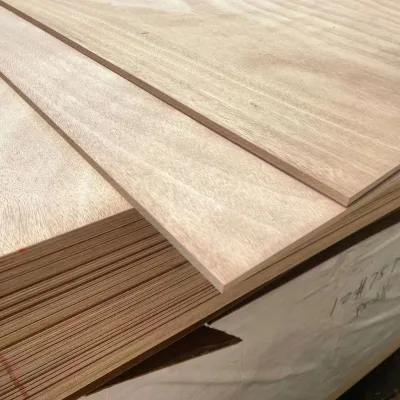 Wholesale Laminated Formwork Plywood Sheet 1220x2440mm E2 Water Resistant First-Class for Bedroom Kitchen Cabinets Decoration CE