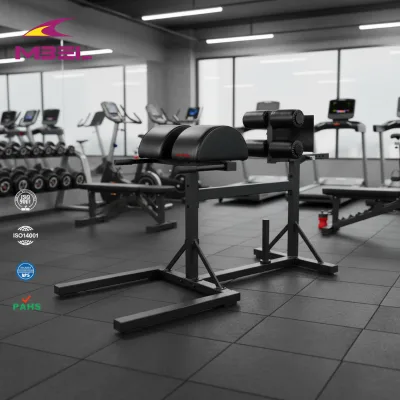 Factory Direct Sales Back Hyperextension Glute Ham Developer Roman Chair