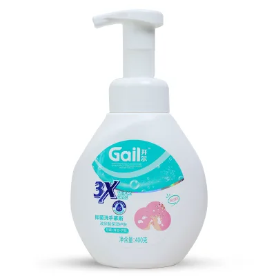 Wholesale Customized 400g Premium Organic ODM/OEM Private Brand Herbal Sulfate-Free Vegan Moisturizing Foam Hand Wash