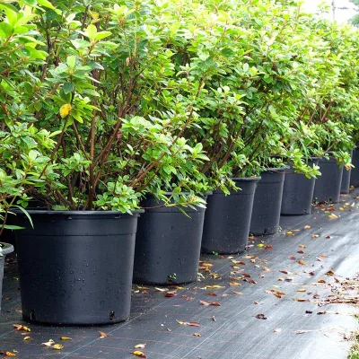 Hot Selling Wholesale Outdoor Garden Durable Recycled Plastic Nursery Pots Plant Pots