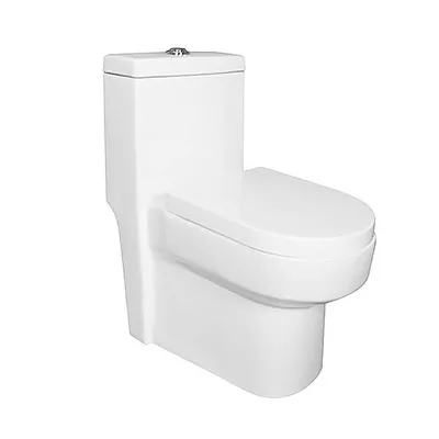 Modern Exclusive Ceramic Toilet Bowl for Hotels Schools Adult Use-Swirl Flush One-Piece for Engineering Decoration Hospital