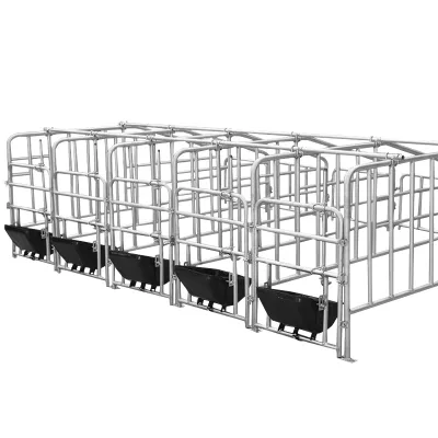 New H Type Pig Gestation Pen with Anti-Collision Rails Solid & Durable Metal Construction for Professional Pig Farm Breeding