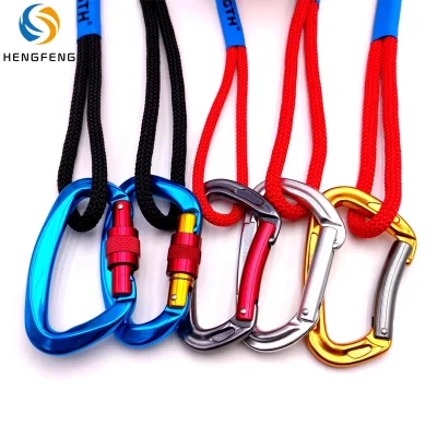 Custom Braided Polyester Waterproof Climbing Lanyard 550/350 Paracord for Bags & Garment Use