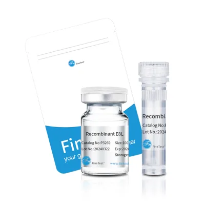 Recombinant Human FGF-12