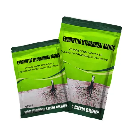 Endophytic Mycorrhizal Agents Promote Root Growth and Prevent Soil Diseases and Root-knot Nematodes