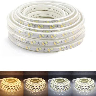 Factory Supply Double Colors Changeable 5730smd Chip Light Strip Building 220v Lighting Flexible Tape Led Lamp Waterproof