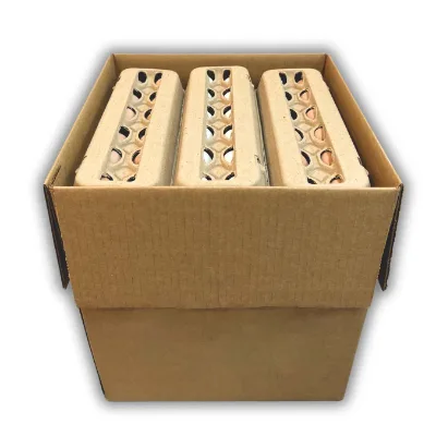 Cardboard Egg Cartons Eco Paper Egg Box Packaging Carton Boxes for Packing Chicken Eggs
