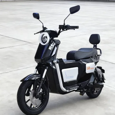 High-Speed Electronic 48V E-Bike Adults Waterproof Lithium Battery Foldable Commuting Bike 500W Sensor Long Range Electric City