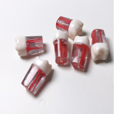 Dental Endo Canal Practice Teeth