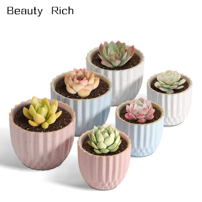 Small Succulent Planter Pot Stripes Cactus Holder with Drainage Hole - Gardening Home Desktop Office Windowsill Decoration Gift