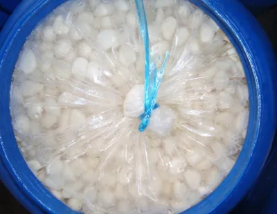 Peeled Garlic Cloves Preserved Garlic  Brined Garlic Cloves