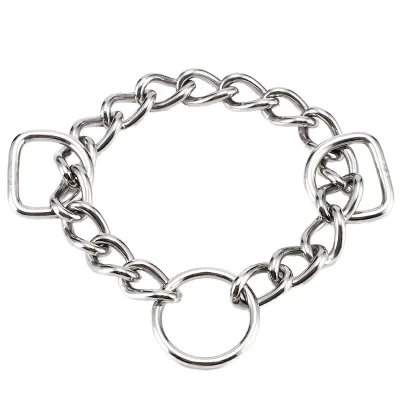 Adjustable Stainless Steel Dog Martingale Chain Choker Simple Classic Training Collar Letter Pattern Colorful Pet Collars