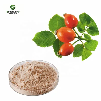 Premium Rose Hips Extract and Rosehip CO2 Extract Powder Solvent Extracted Health Food Grade From Liaoning