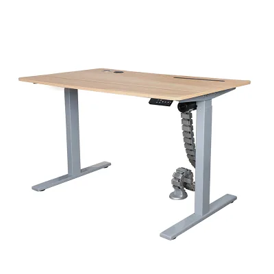 Smart Adjustable Height Electric Standing Desk for Modern Offices