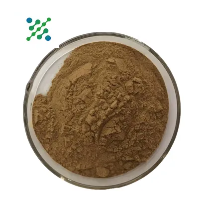 High Quality Magnolia Officinalis Magnolia Bark Extract Magnolia Bark Extract 10:1