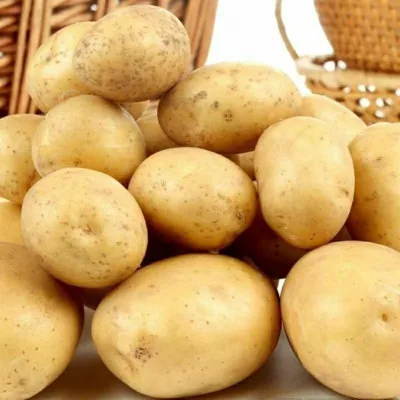 Ruiqi Fresh Potatoes Round Shape Various Sizes (50-200g) From Henan China
