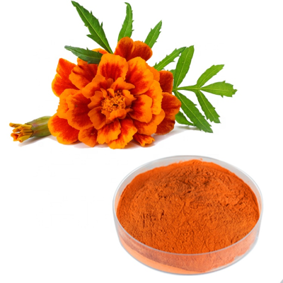 HONGDA 5% 10% 80% Lutein Zeaxanthin Powder Lutein 20%