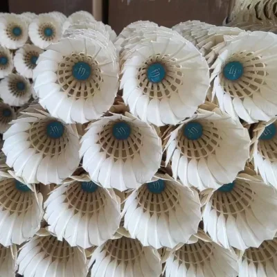High Quality Goose Feather Shuttlecock Popular Badminton Product Wholesale From Taiwan Brand