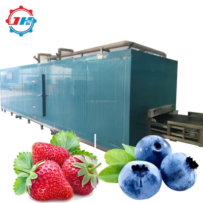 Commercial Large-Scale Vegetable Fruit Quick Freezer Production Line Quick Freezing for Broccoli Fig French Fries Motor Core