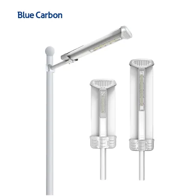 Blue Carbon Integrated All in One Waterproof Solar Garden Lights IP66 Warehouse Landscape Sports Stadiums