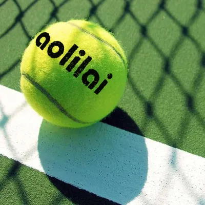 Premium Elastic Padel Ball 45% Wool Felt Construction for Professional Padel Competition