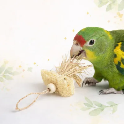 Natural Parrot Bird Chewing Toys New Style Durable Loofah and Raffia Parrot Toy for Conure Cockatiel Budgies