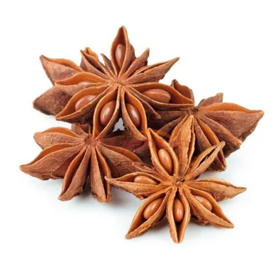 Hot Sales Blended AD Processed Dried Star Anise Chinese BAJIAO Spices and Herb Anise Seeds Sample