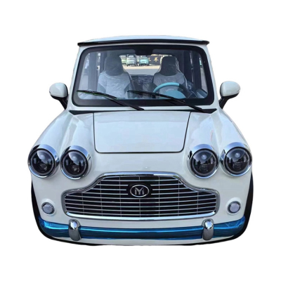 Fascinating Price New Type Hot Selling Good Quality New Small Car New Energy Vehicles