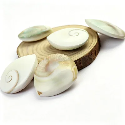 2-4CM Natural Shiva Eye Shell Star Teardrop Shape , Pacific Cat's Eye Operculm Stone for Healing Decoration Gift Making
