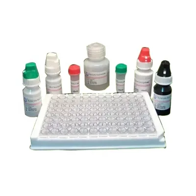 The best price comes with a medical diagnostic kit