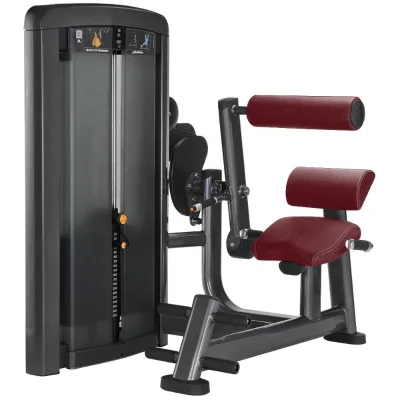 Wholesale Gym Pin Loaded  Equipment Adjustable Seated Back Extension Machine for Sale