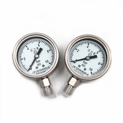 Feilong Quality 60mm Digital Pressure Gauge Small Range 0-10Bar All Stainless Factory Price Bottom Mounting