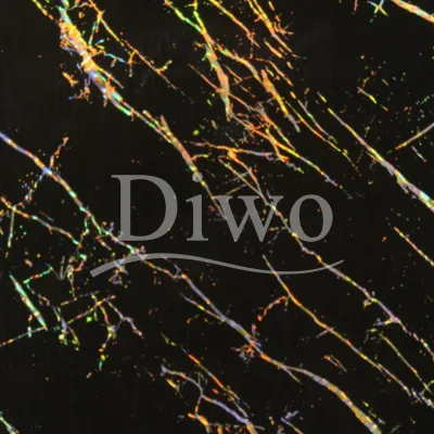 Diwo Hot Stamping Laser Lamination Film for Interior Decorative Panel/Profile