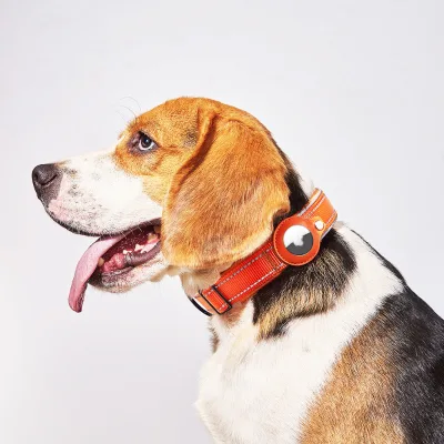 In Stock Strong Nylon Pet Tracker Collar for Medium Large Dogs Anti-Lost GPS Leash with Apple AirTag Waterproof IP67 No Choking