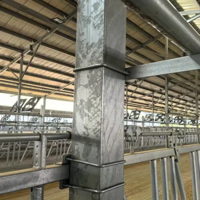 Dairy Farm, Cowshed, Components, Cradle, Cow Farm Rack, Made in China