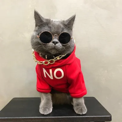 2022 new fashion design cool style 2 colors cotton warm high end quality pet cat jacket coat clothes