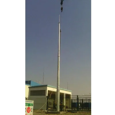 Electrical Panel Grounding/Earthing Rods for House Telecommunication Tower with Lightning Rod