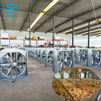 Factory Direct Supply Electric High Airflow 1100W Chicken House Exhaust Fan Double Layer Mesh Galvanized Wall-Mounted Axial Fan