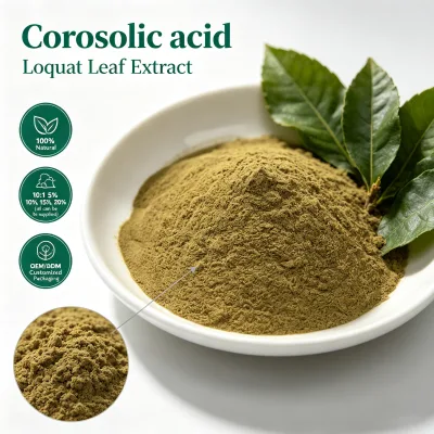 Premium Liposomal Corosolic Acid 10% Loquat Leaf Extract Powder ISO Certified Herbal Food Supplement Drum Packaging Bulk