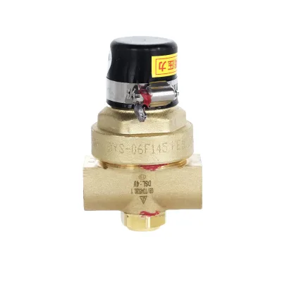 DYS-10F Cryogenic Regulator PN40 for Storage Tank Pipeline