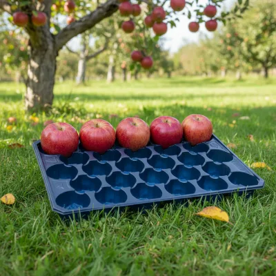 Perforated Blister Exported Thermoformed Plastic Packaging Tray for Fresh Peach Use Popular in Chile Market